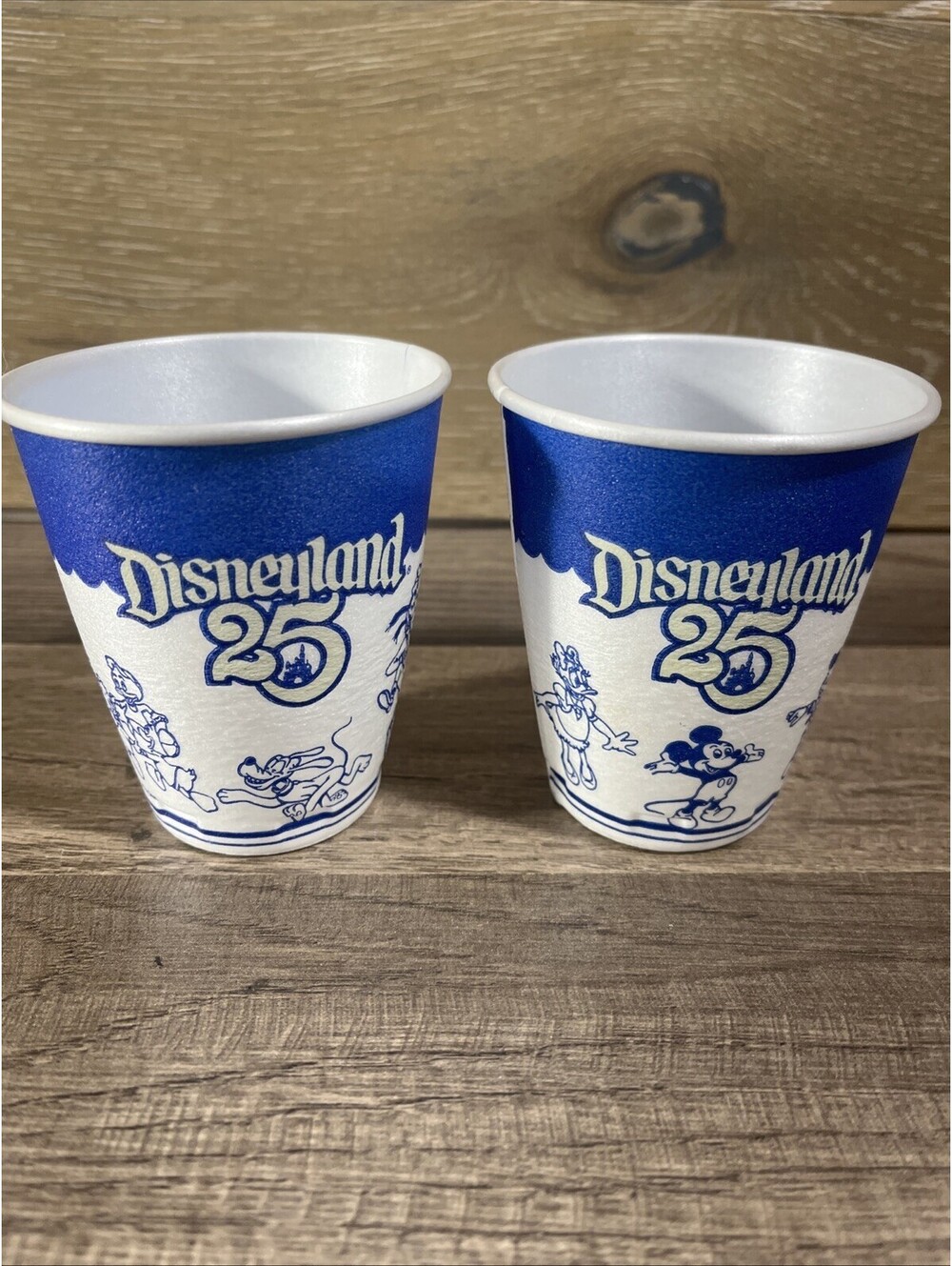 Original 1980 Disneyland 25th Anniversary Celebration Styrofoam Drinking Cup